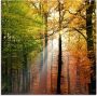 Artland Print op glas Mooie herfstdag 2 in verschillende maten - Thumbnail 1