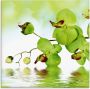 Artland Print op glas Mooie orchidee met groene achtergrond - Thumbnail 1