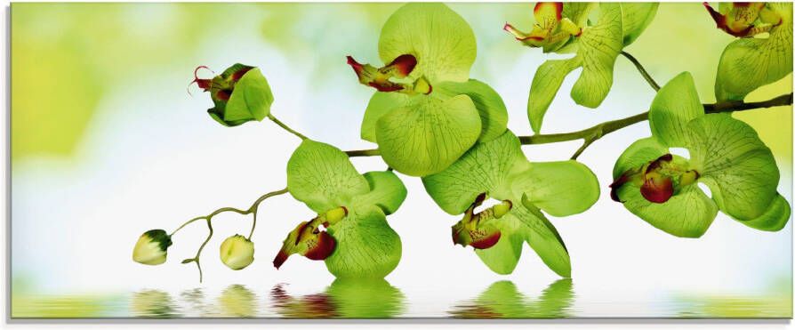 Artland Print op glas Mooie orchidee met groene achtergrond