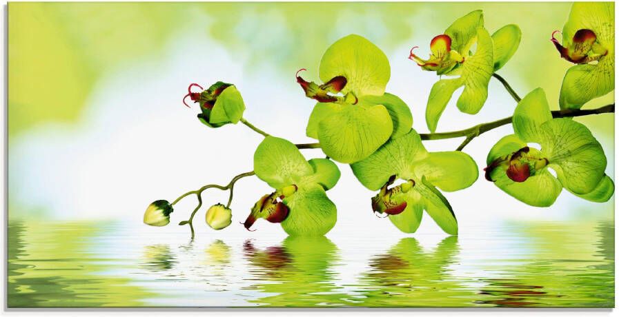 Artland Print op glas Mooie orchidee met groene achtergrond