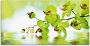 Artland Print op glas Mooie orchidee met groene achtergrond - Thumbnail 1