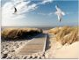 Artland Print op glas Noordzeestrand op Langeoog met meeuwen - Thumbnail 1