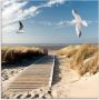 Artland Print op glas Noordzeestrand op Langeoog met meeuwen - Thumbnail 1