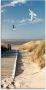 Artland Print op glas Noordzeestrand op Langeoog met meeuwen - Thumbnail 1