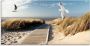 Artland Print op glas Noordzeestrand op Langeoog met meeuwen - Thumbnail 1