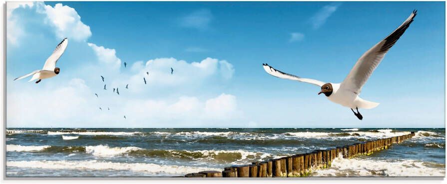 Artland Print op glas Oostzee in verschillende maten
