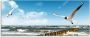 Artland Print op glas Oostzee in verschillende maten - Thumbnail 1