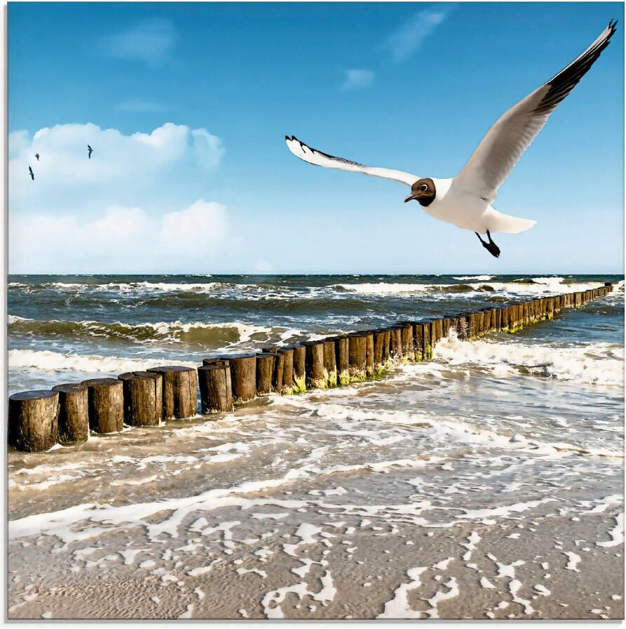 Artland Print op glas Oostzee in verschillende maten