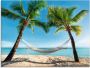 Artland Print op glas Palmenstrand Caribic met hangmat - Thumbnail 1