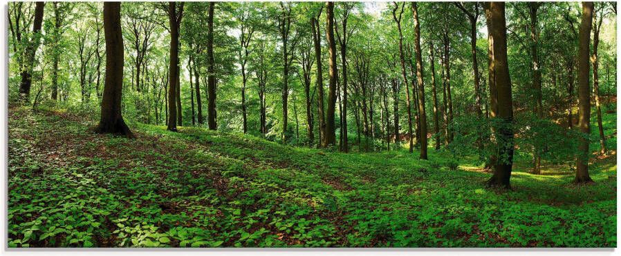 Artland Print op glas Panorama van een groen zomerbos