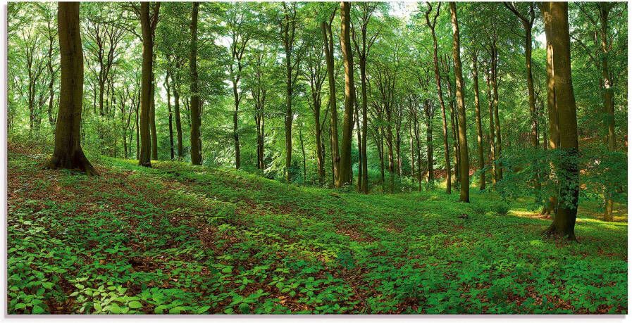 Artland Print op glas Panorama van een groen zomerbos