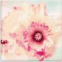 Artland Print op glas Pastel papaver in verschillende maten - Thumbnail 1