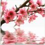 Artland Print op glas Perzikbloesem reflecteert op het water - Thumbnail 1