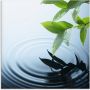 Artland Print op glas Plant en water in verschillende maten - Thumbnail 1