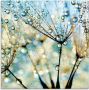 Artland Print op glas Pluizenbol blauwe diamanten - Thumbnail 1