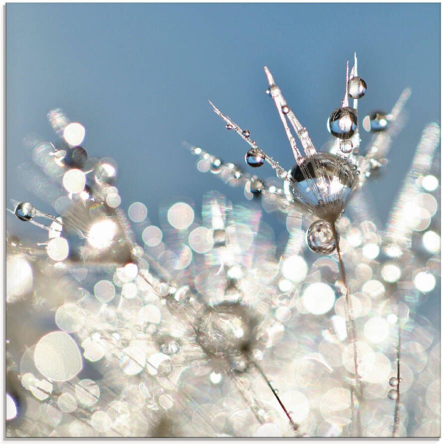 Artland Print op glas Pluizenbol druppel abstract