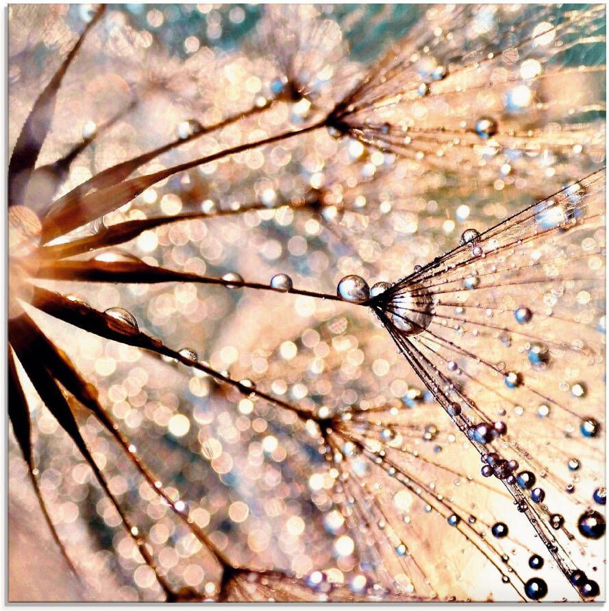 Artland Print op glas Pluizenbol Kisses from rain