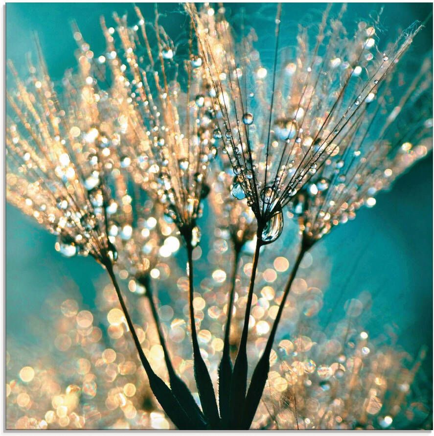 Artland Print op glas Pluizenbol pluimen abstract