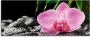 Artland Print op glas Roze orchidee op zwarte zen stenen - Thumbnail 1