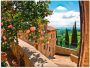 Artland Print op glas Rozen op balkon Toscaans landschap - Thumbnail 1
