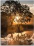 Artland Print op glas S Ochtends vroeg als de dag ontwaakt - Thumbnail 1