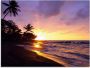 Artland Print op glas Tropisch strand in verschillende maten - Thumbnail 1