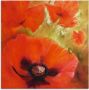 Artland Print op glas Vier maal papaver in verschillende maten - Thumbnail 1