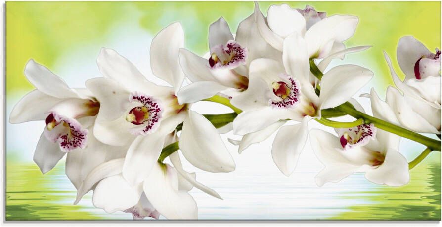 Artland Print op glas Witte orchidee in verschillende maten