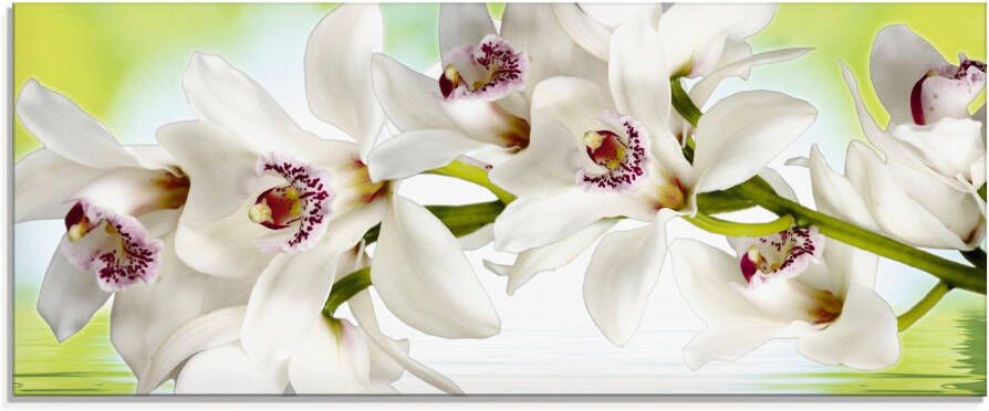 Artland Print op glas Witte orchidee in verschillende maten