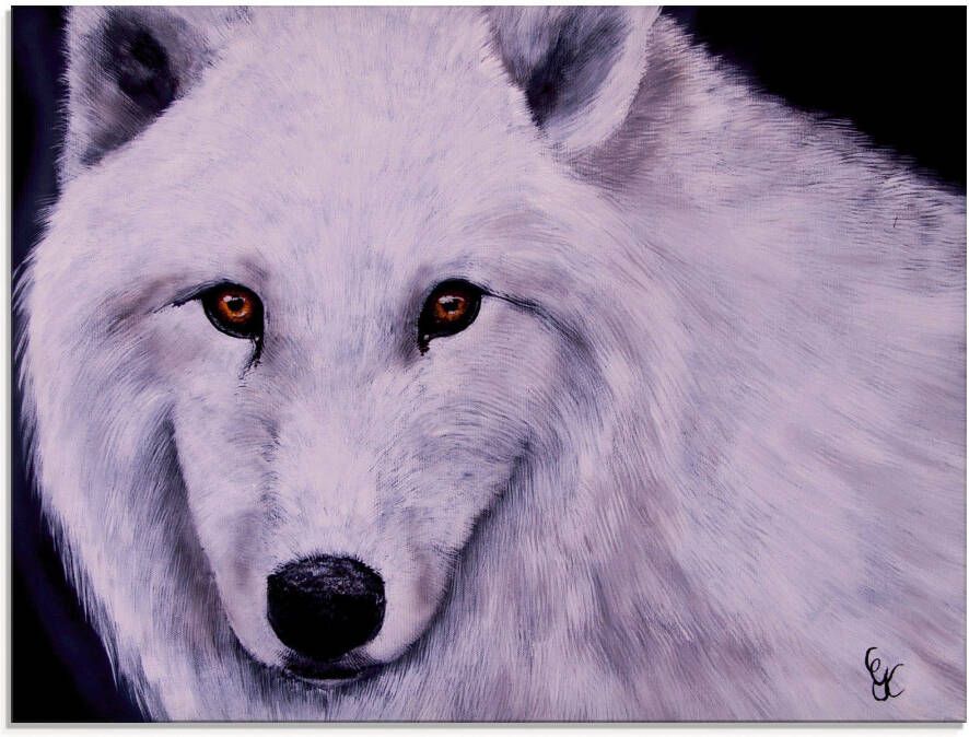 Artland Print op glas Witte wolf in verschillende maten