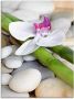 Artland Print op glas Zen orchidee in verschillende maten - Thumbnail 1