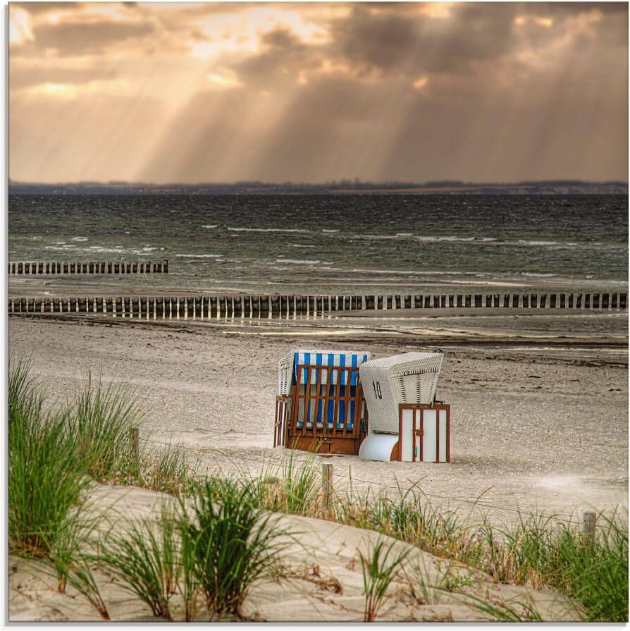 Artland Print op glas Zwarte struik strand op eiland Poel