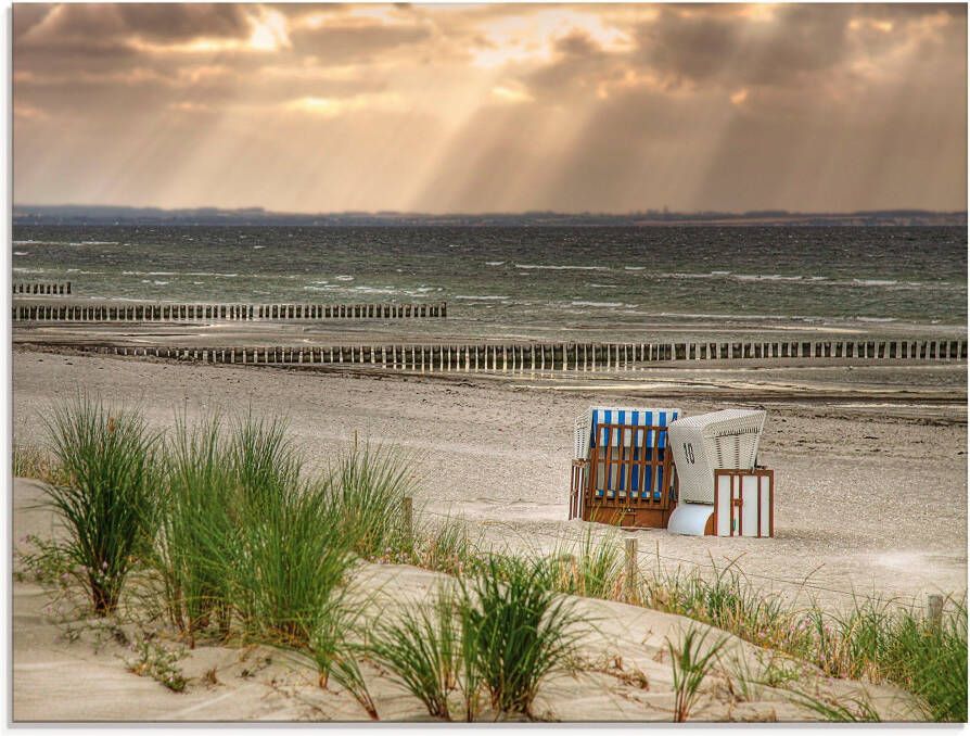 Artland Print op glas Zwarte struik strand op eiland Poel