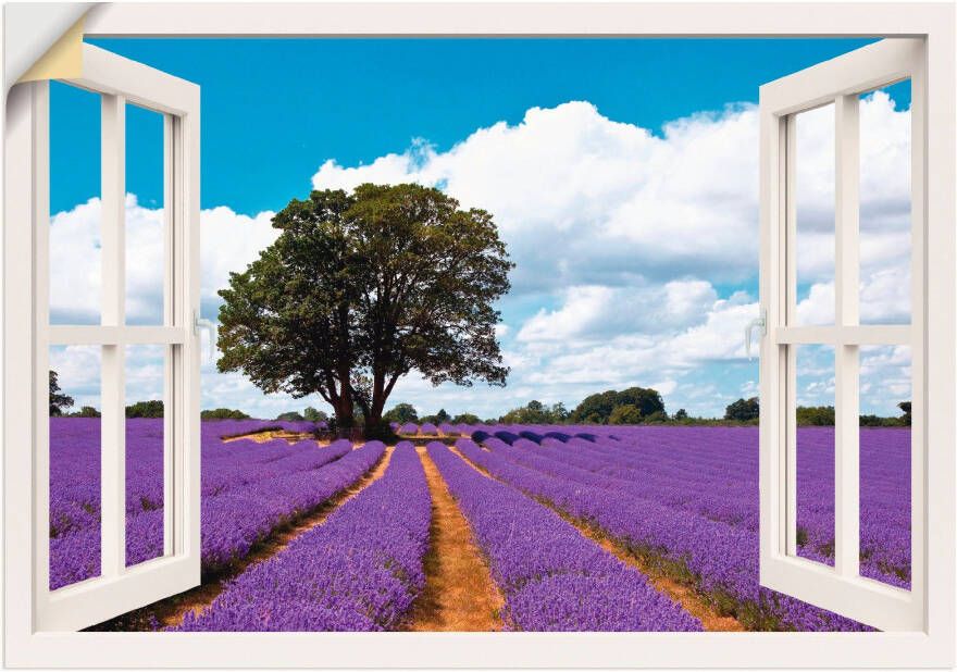 Artland Wandfolie Blik uit het venster lavendelveld in de zomer