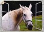 Artland Wandfolie Blik uit het venster wit paard - Thumbnail 1