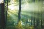 Artland Wandfolie Lichtbreking Licht in het bos - Thumbnail 1