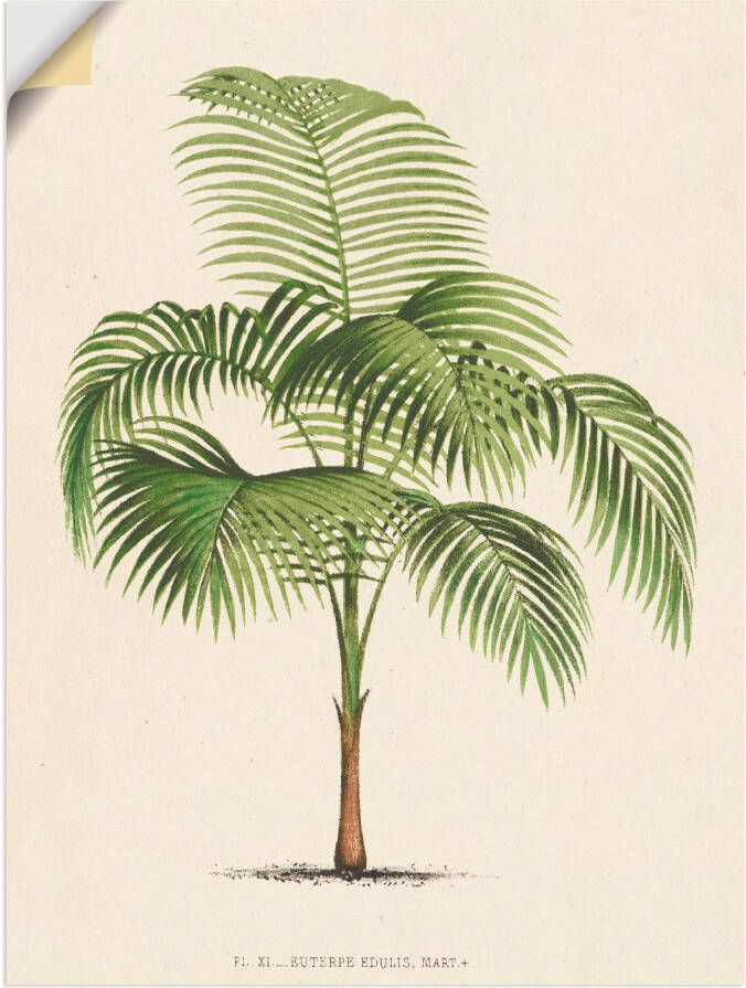 Artland Wandfolie Palm I zelfklevend