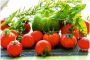 Artland Wandfolie Tuin verse tomaten - Thumbnail 1