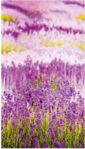 Bodenmeister Fotobehang Lavendel Provence paars