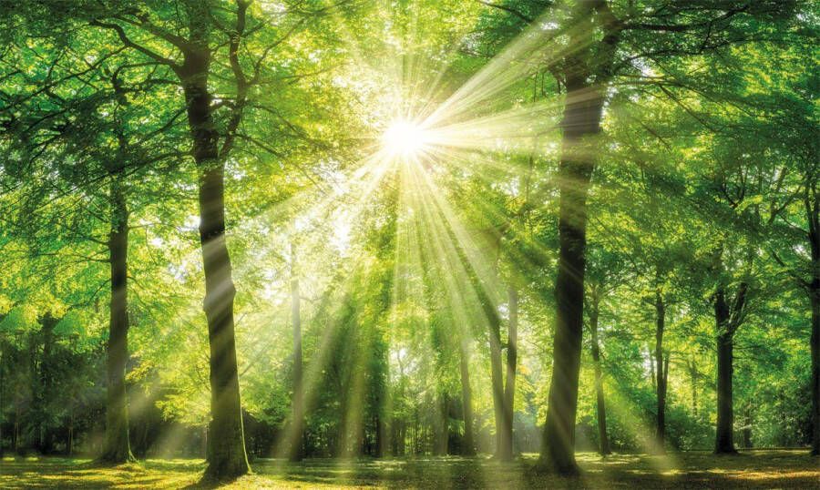 Bönninghoff Artprint op linnen Zonnestraal (1 stuk)