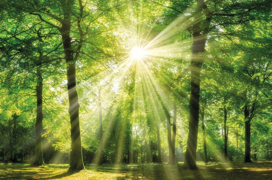 Bönninghoff Artprint op linnen Zonnestraal (1 stuk)