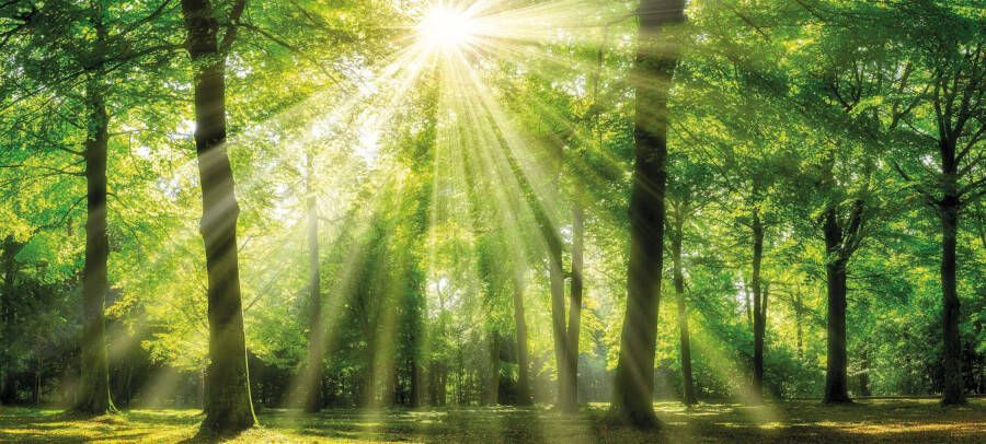 Bönninghoff Artprint op linnen Zonnestraal (1 stuk)