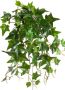 Botanic-Haus Kunst-potplanten Klimop-hangplant met 10 stelen (1 stuk) - Thumbnail 1