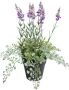 Botanic-Haus Kunst-potplanten Lavendel kruidenpotje (1 stuk) - Thumbnail 1