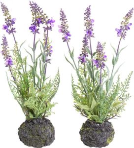 Botanic-Haus Kunst-potplanten Lavendel (set 2 stuks)