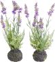 Botanic-Haus Kunst-potplanten Lavendel (set 2 stuks) - Thumbnail 1