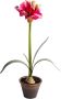 Botanic-Haus Kunstbloem Amaryllis in bruine kunststof pot (1 stuk) - Thumbnail 1