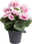 Botanic-Haus Kunstbloem Geranium met 6 stelen (1 stuk) - Thumbnail 1