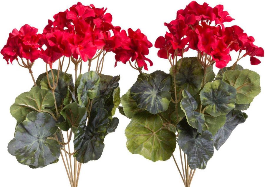 Botanic-Haus Kunstbloem Geraniums (1 stuk)