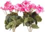 Botanic-Haus Kunstbloem Geraniums (1 stuk) - Thumbnail 1